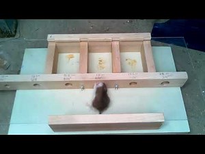 How small a hole can a mouse get through???