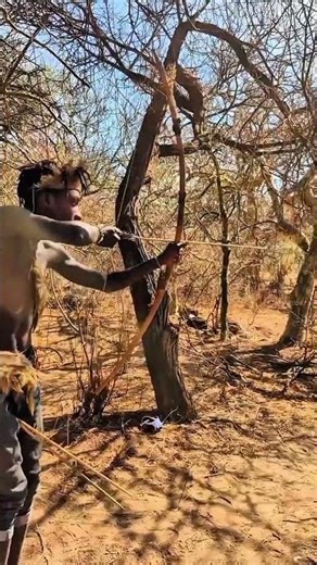 Wild Animal Alert Reaction in the Forest | Nature Documentary Short