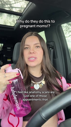 Understanding Anatomy Scans During Pregnancy