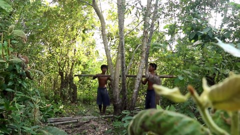 Build Tree Hut in forest