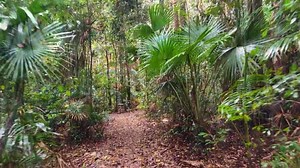 77K views · 805 reactions | Located in the heart of the tranquil...