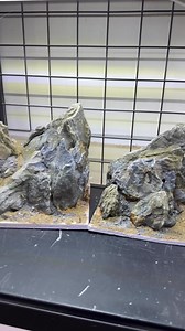 Thêm cặp mini | Bach Phi