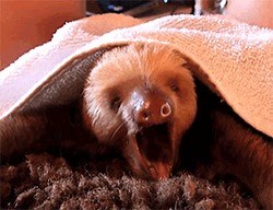 3.5K views · 32 reactions | Spotify Wrapped is sooo last week, right? So, to change things up, we analysed over 500 ‘sleep’ Spotify playlists to find out what songs people listen to around the world to help them drift off to the land of nod.  Check them out here and let us know below what soothing sounds or songs help you get some shuteye: https://bit.ly/3lRgpEN ✨ | Premier Inn | Facebook