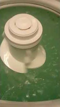 clean washer with affresh cycle on the Roper washing machine