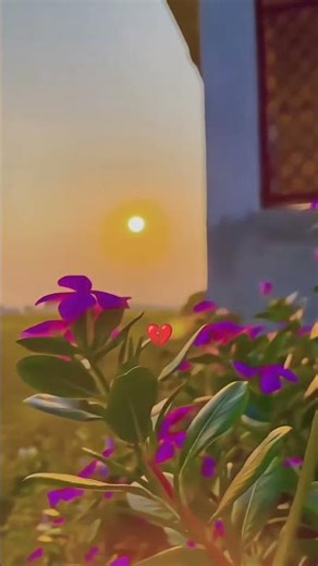 pagel ki ju tanu pyar karu su......