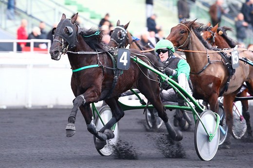 Quinté : Les planètes sont alignées pour Equinoxe dans le Quinté  à Vincennes ce Jeudi 25 novembre
