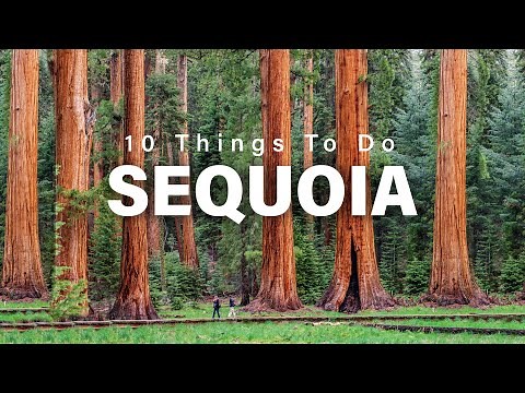 Top 10 Things To Do In Sequoia National Park, California In 2024