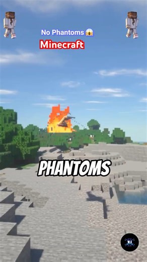 Stop Phantoms Without Sleeping! #shorts #minecraft