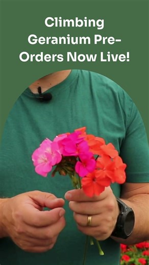 Our Spring 2026 Pre-Orders are now live!