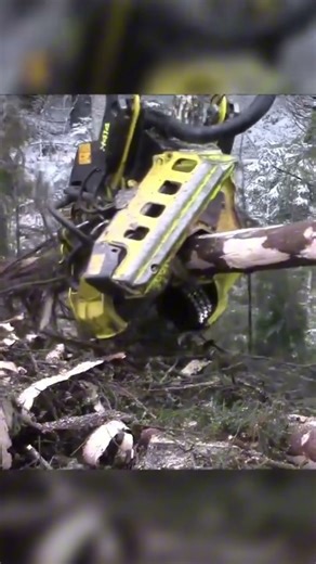 It Turns Giant Trees Into Logs Instantly! ⚙️🌲🔥 #woodscraft #forestry #woodworking #treecutting