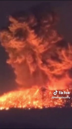 NJ Drones vs. Flying Lizard: Epic Showdown