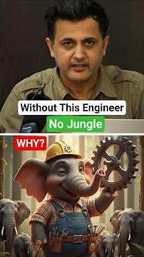 Elephant: The Engineer of the Jungle. WHY?