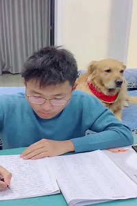 Douer’s little butler is here, the little master can be naughty if he wants | Norn Ava