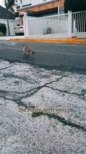 weg