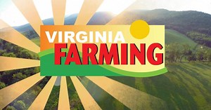 Virginia Farming:Pollination and Importance of Bees Season 13 Episode 86