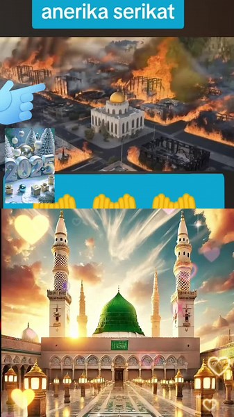 Don number one on TikTok