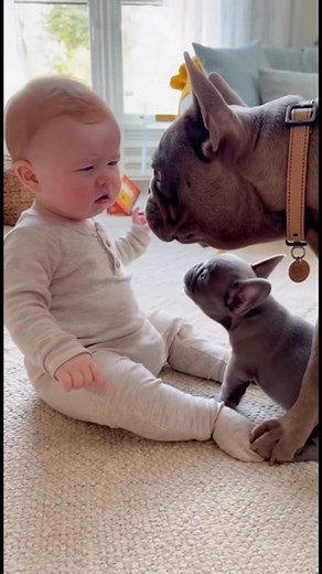 Baby afraid puppy | Eat together