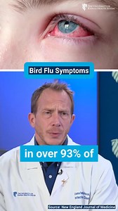 Learn the symptoms of bird flu and what you can do to reduce your risk from getting it. | The University of Kansas Health System