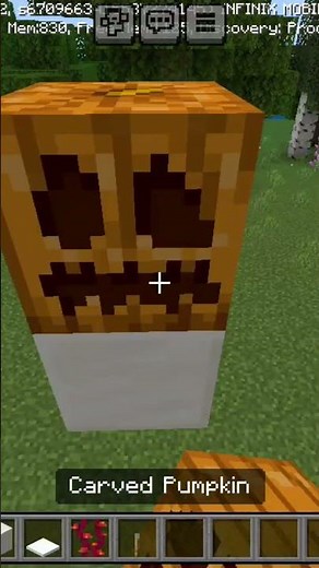 Minecraft fly hack