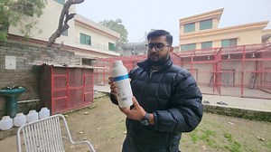 6.9K views · 599 reactions | Tips for EXCELLENT Pigeon Breeding | Ch Sakhi Muhammad Bhatti | Facebook