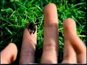 Bounty - The Bounty World (1997, UK)