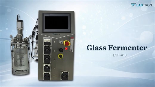 Labtron Glass Fermenter LGF-A10: Lab-Scale Bioreactor for Microbial & Cell Culture