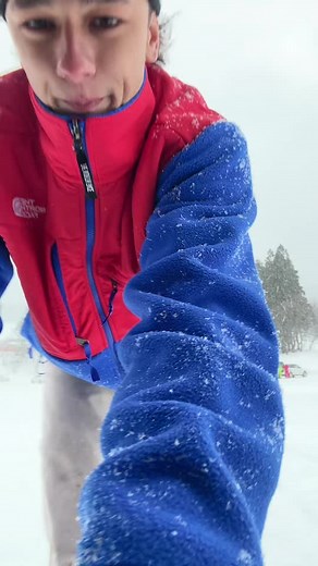 を使っているAddison James (@addisonjames)の動画