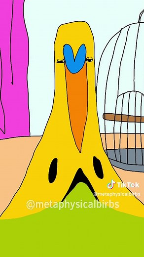 Metaphysical Birbs Funny Meme Compilation