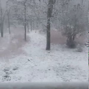 40K views · 933 reactions | WHITE CHRISTMAS! FOX 5 viewer Patrick Blazer shared this video from Blairsville, Georgia as the snow contineus to fall and stick across higher elevations of North Georgia. MORE: https://bit.ly/2WGXdiT | FOX 5 Atlanta | Facebook