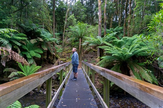 The Ultimate Guide to the Tarkine Drive in Tasmania, Australia