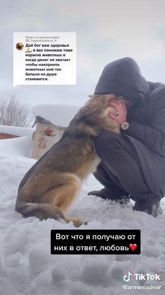 German Shepherd Enjoys Snowy Outdoors with Owner