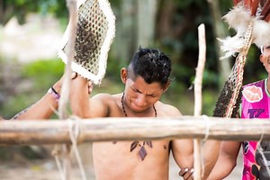 Stinging ants: Amazon indigenous group girds itself to hold ancestral lands