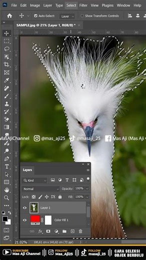TIPS FOR SELECTING FURRY OBJECTS - PHOTOSHOP TUTORIAL