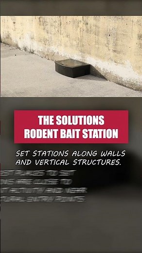 A Quick Guide to the Solutions Rodent Bait Station [DIY Rodent Control]