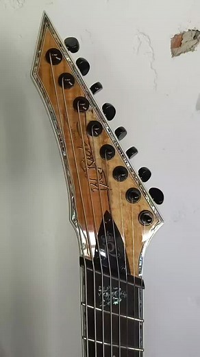 Exploring the World of 8 String Guitars with @bcrichguitars