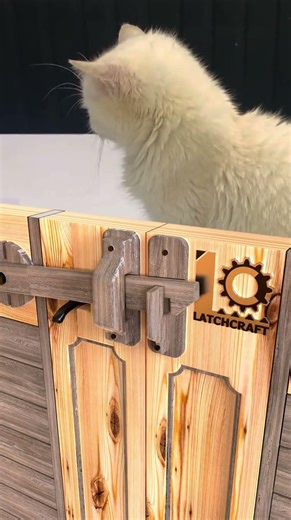 スライド機構 × 木工メカ｜職人も惚れる完成度🔥 #スライド機構 #木工メカ #機構デザイン #DIYプロジェクト #LatchCraft精密