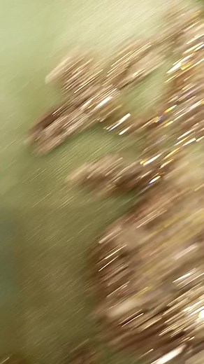 Exquisite Pakistani Bridal Dress TikTok Video Showcase