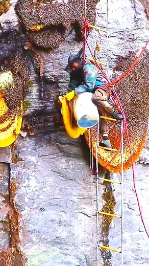 55K views · 811 reactions | #bee #nature #bees #honey #macro #savethebees #flowers #beekeeping #naturephotography #beekeeper #honeybee #beesofinstagram #insects #photography #insect #flower #beehive #honeybees #biene #macrophotography #love #bumblebee #bienen #pollen #garden #honeycomb #art #pollinators #naturelovers #beekeepers | 10M | Facebook