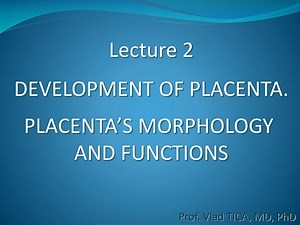 Lecture 2 DEVELOPMENT OF PLACENTA. PLACENTA’S MORPHOLOGY AND FUNCTIONS - SlideServe