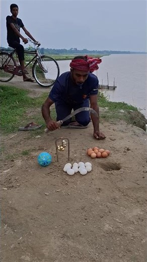 Farmer's Rat hunting Trap #survival #rathunt #rattrap #farming