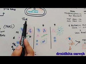 Innate immunity in periodontal diseases