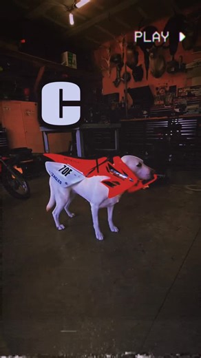 • 퓐픂퓸퓾퓫 on Instagram: "#臘‍♂️ #❤️‍✈️ #❤️"