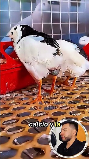 This happens in LESS than 5 seconds and few people know it 😳🥚