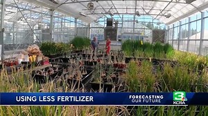 UC Davis plant research could save farmers billions of dollars while fighting climate change
