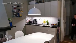 32K views · 459 reactions |  Eine Türklingel für Katze :) Praktisch,...