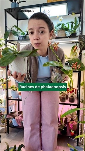 ORCHID SECRETS S1 • The Secret of Green Roots 🔋 (5/30)