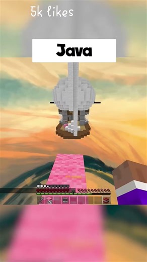 Minecraft java vs bedrock edition #minecraft #viralvideo