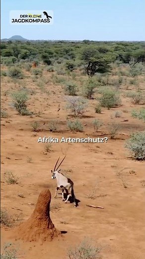 Trophy hunting in Africa = species conservation?