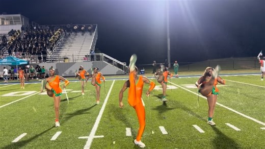 Thee Elite Carver Majorettes 🔥 New Orleans ⚜️ on Instagram: "E L I T E for a reason not just a S E A S O N, • 1 Team • Thee Standard • Elite Always #CarverMajorettes #IfNotUsThenWho #RealMajorettes #NoWhiteTipsDuhh #theeGREENprint 🧡💚🤍"
