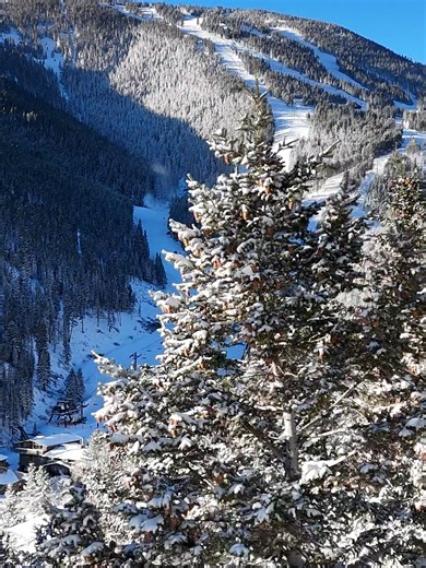Experience Bluebird Days in Montana's Snow Paradise